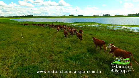 DOS EÓLICOS VIRA P FAZENDA_Moment.00_07_22_09.Quadro250_57455be07fe00150e47170a85f1afc6545da0152.jpg